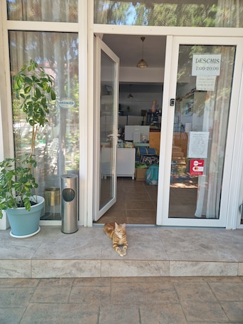 Front of property. Casa Carina