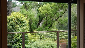 Property grounds - Tourmaline in Wentworth Falls (Wentworth Falls)
