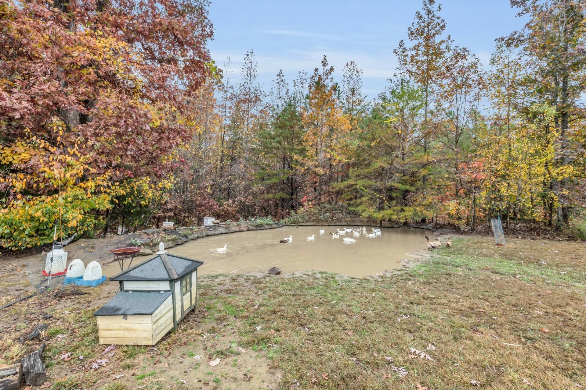 A pond surrounded by trees with autumn foliage, a wooden structure, and a small shed.