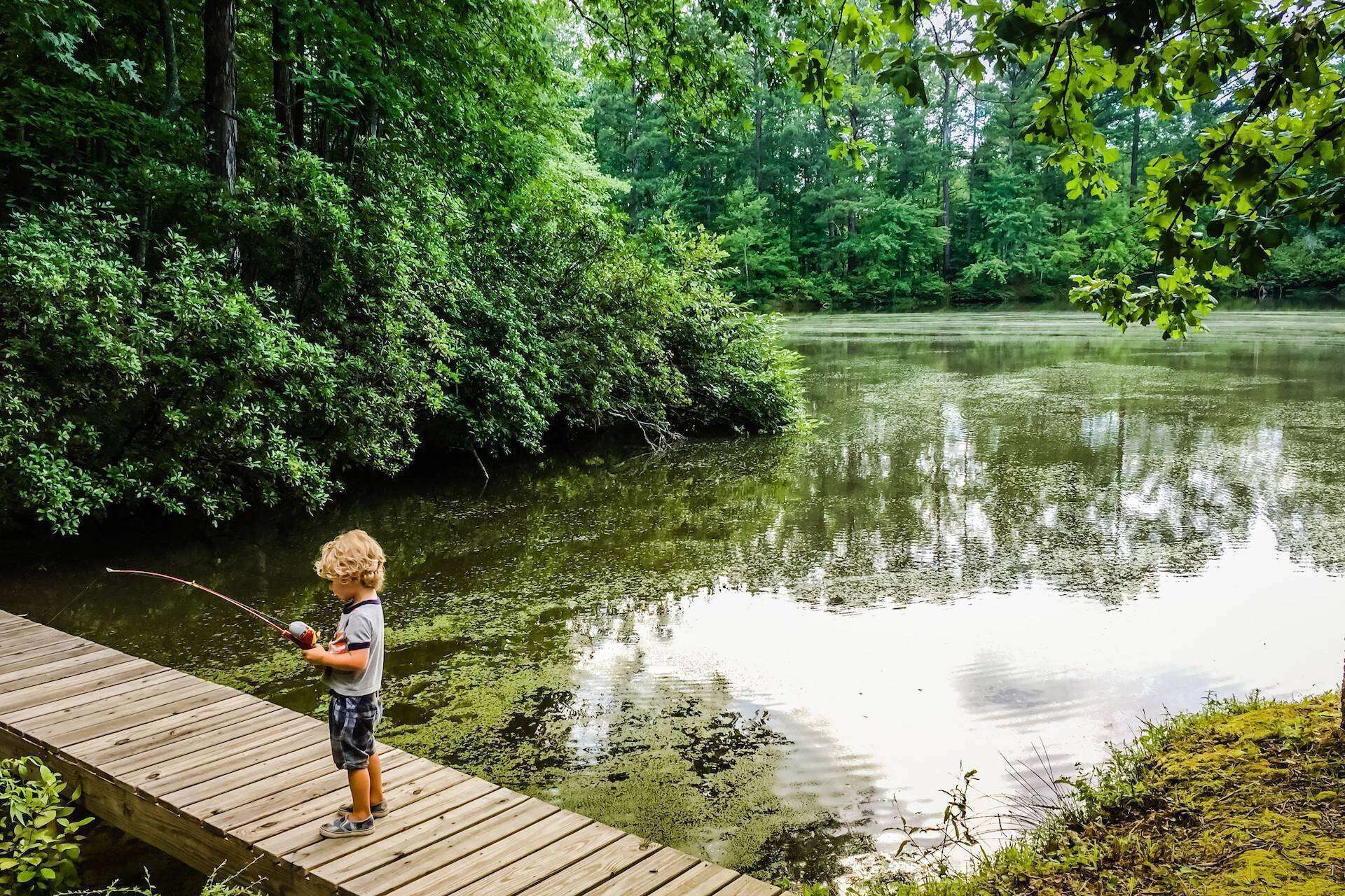 Een houten steiger die uitsteekt in een kalm meer, omgeven door weelderige begroeiing.