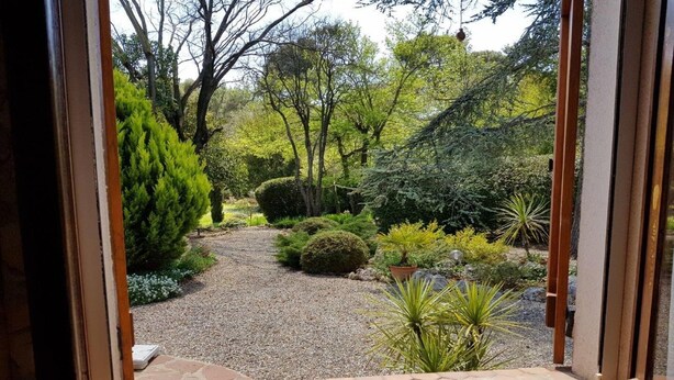 A view through a window of a garden with a gravel path, various shrubs, and trees.
