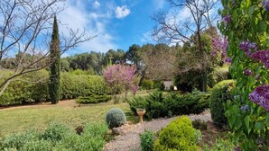 A garden with a gravel path, various shrubs, and flowering trees.