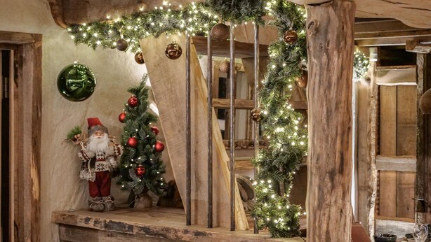 A rustic interior with a wooden bench, Christmas decorations, and a small Christmas tree. - Spacious holiday home in the woods (Bastogne)