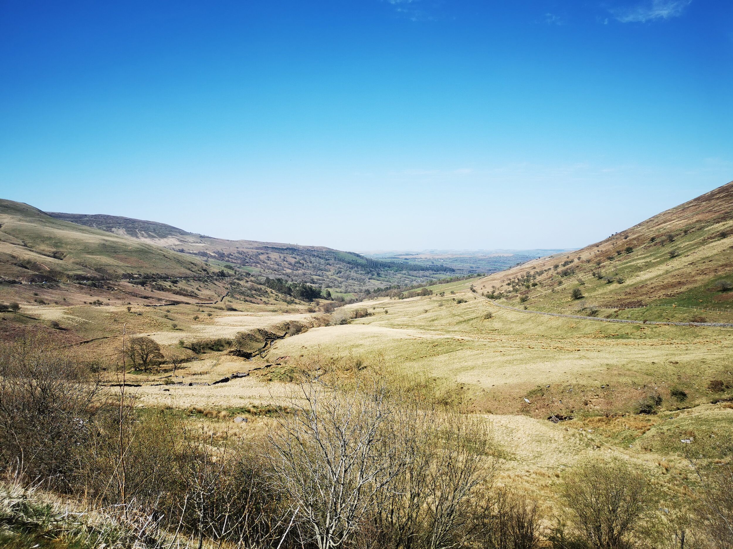 منوع