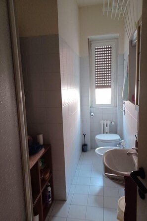 Shower, hair dryer, bidet, shampoo