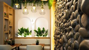 A cozy seating area with wooden shelves, a stone wall, and hanging plants.