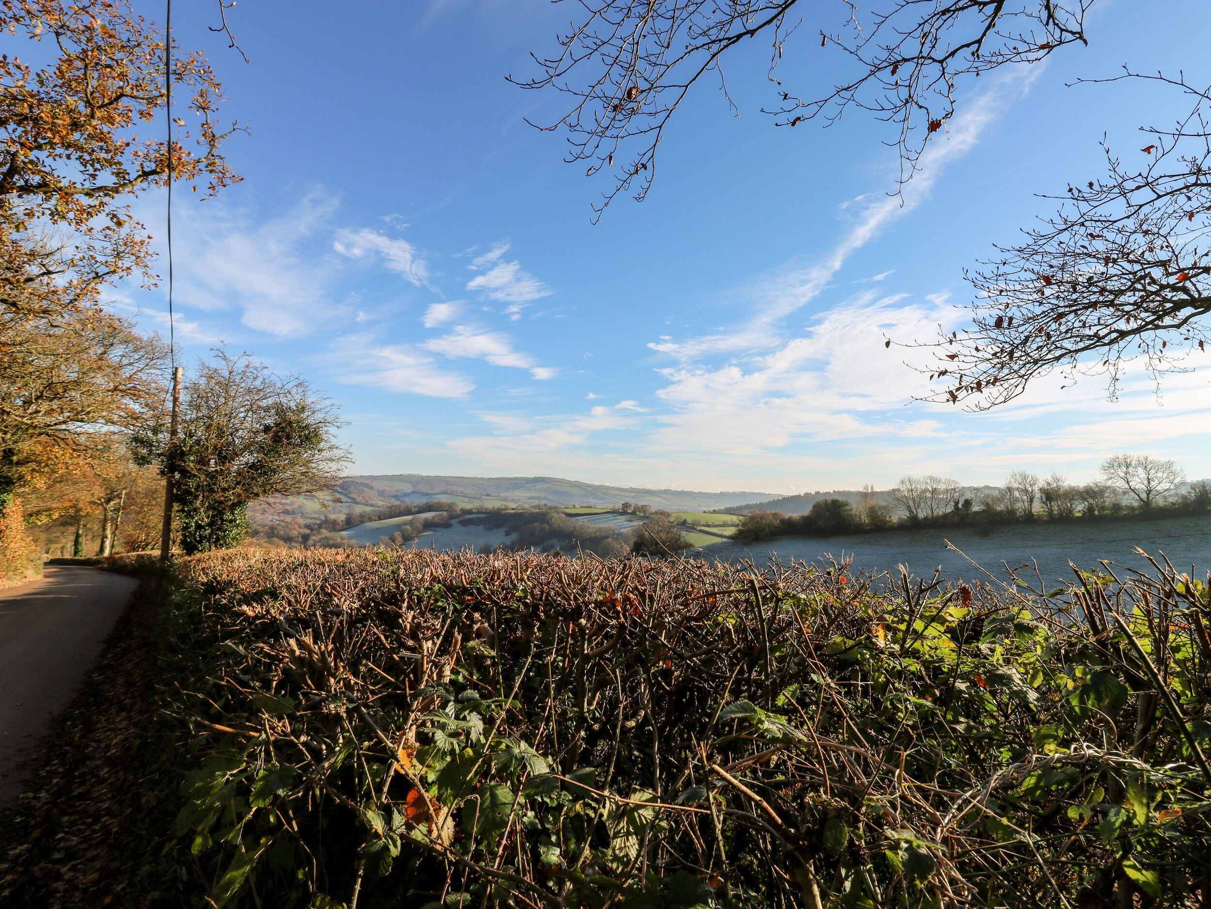 Un paysage rural avec une route sinueuse, une végétation luxuriante et une étendue d’eau visible au loin.