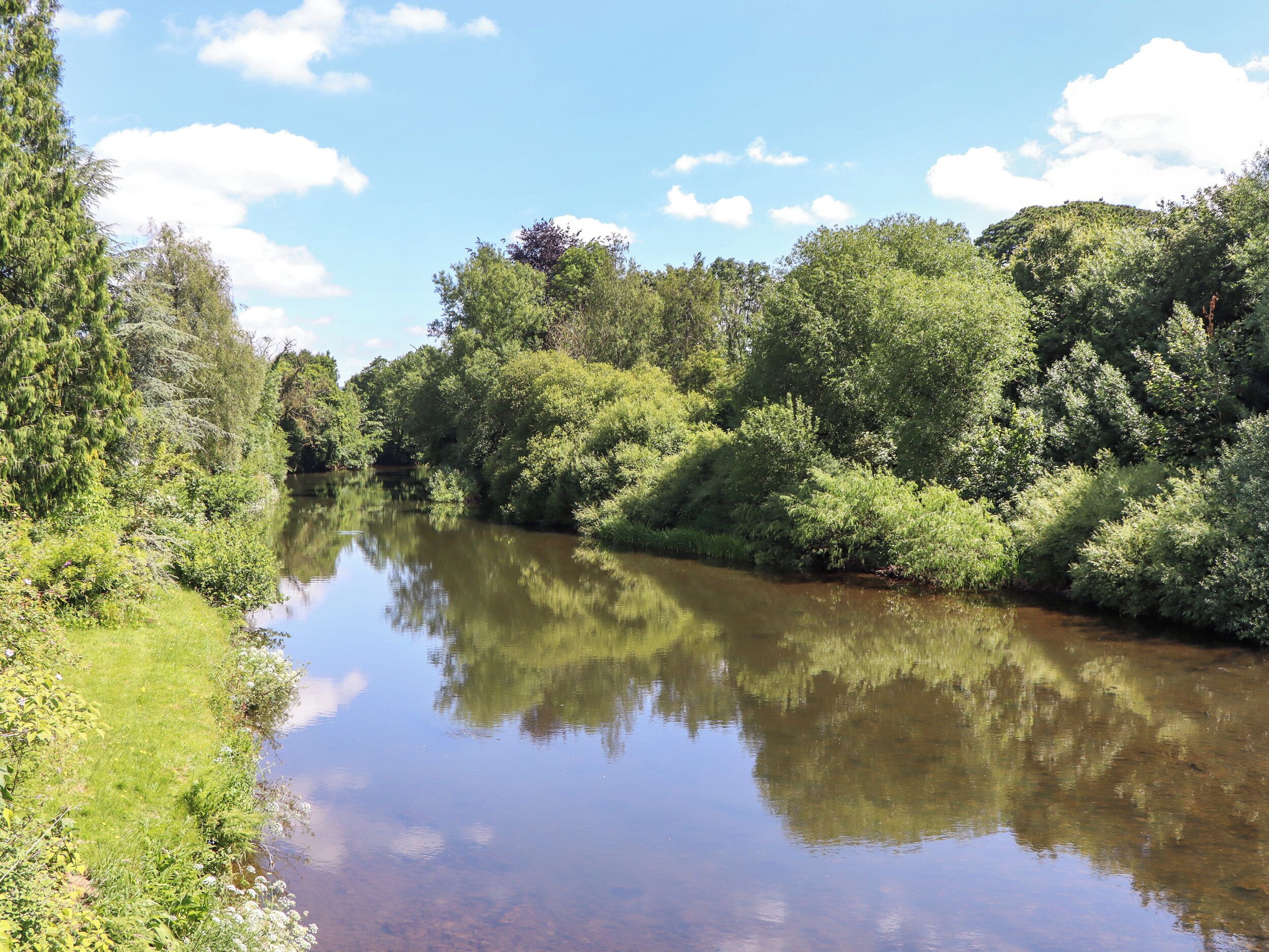 Un río tranquilo rodeado de densa vegetación y árboles.