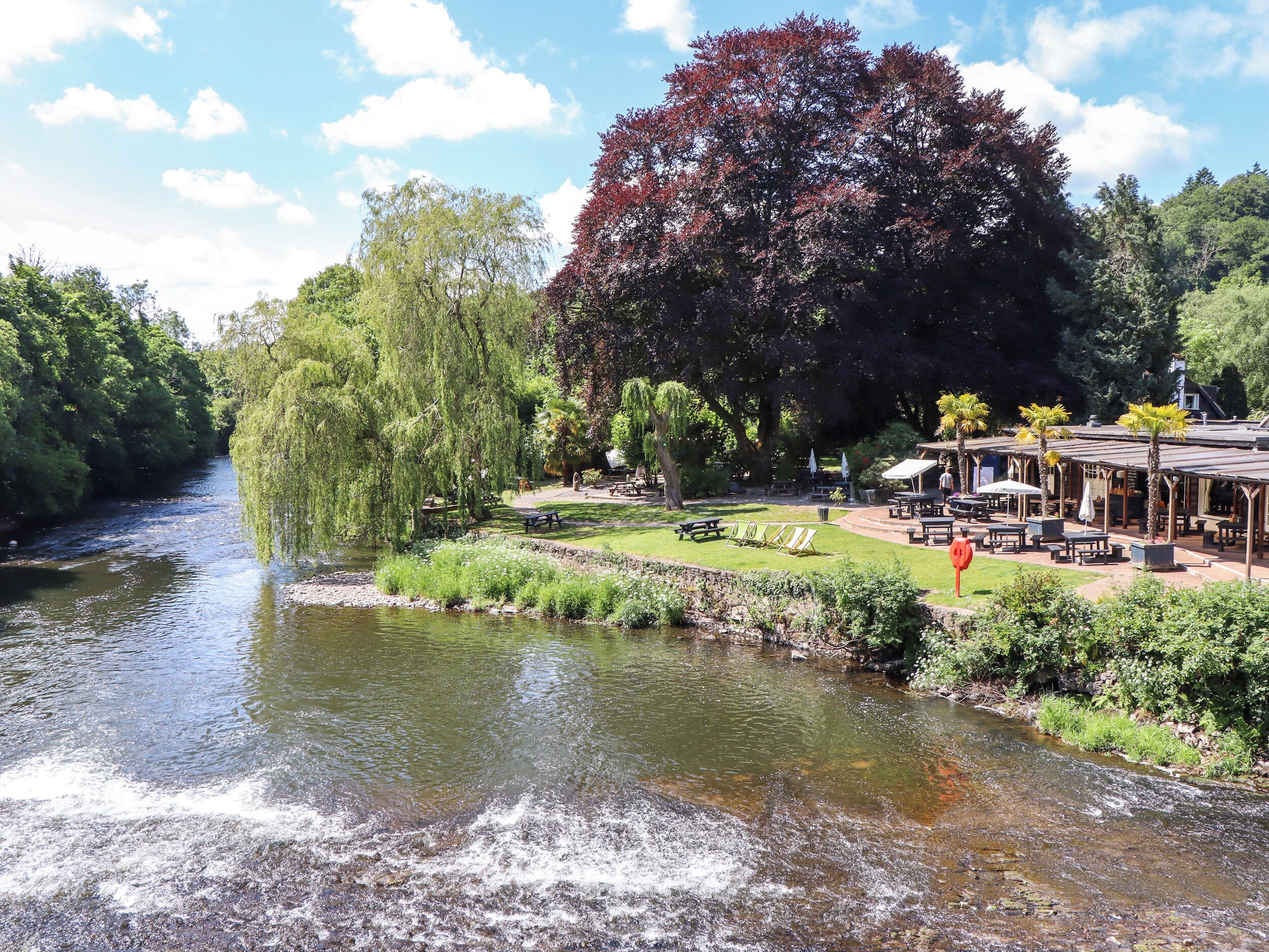 A riverside restaurant with outdoor seating, a weeping willow tree, and a view of the river.