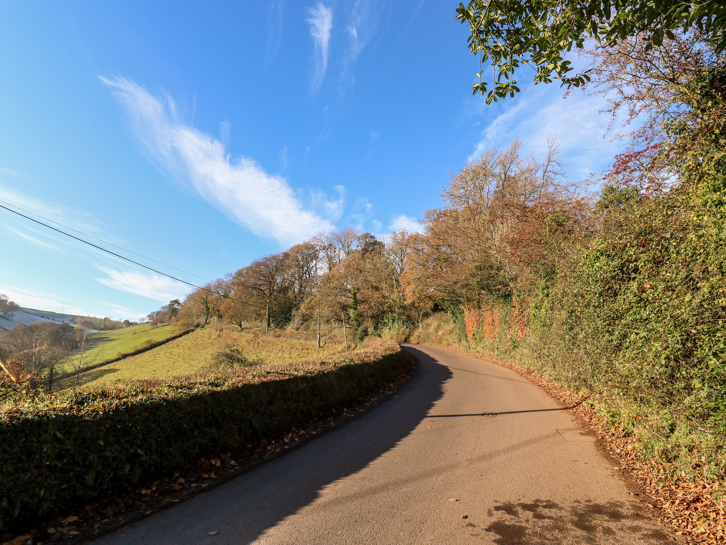 Ein Feldweg, von Bäumen und Hecken gesäumt, der in ein Tal führt.