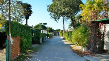 Villa, 2 chambres, patio, vue jardin | Jardin