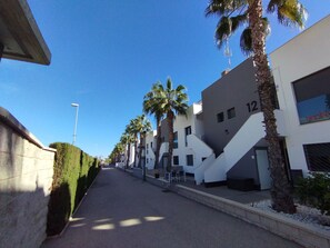 Exterior - Penthouse Oasis Beach V La Zenia (La Zenia)