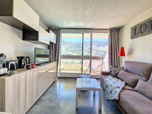 تلفزيون، مشغل دي في دي