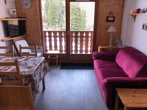 TV, DVD player - Spacious 3-room apartment, ski-in/ski-out with parking, St Jean d'Aulps (Saint-Jean-d'Aulps)