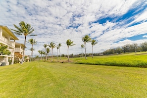 A well-maintained lawn with palm trees and a building with a balcony.