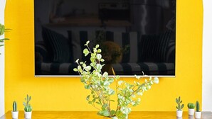 En stue med gul væg, et fladskærms-tv, et træsofa-bord og små krukkeplanter.