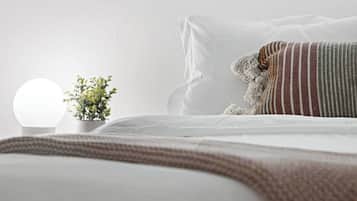 2 bedrooms, iron/ironing board, WiFi