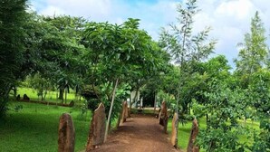 A pathway flanked by lush greenery and trees, leading through a park-like setting. - Iretet Mara Lodge (Maasai Mara)