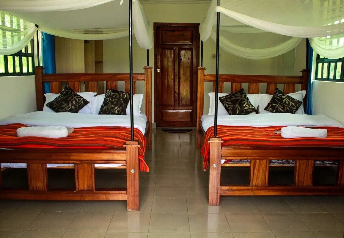 Deluxe Double or Twin Room | Hypo-allergenic bedding, individually furnished, desk, laptop workspace