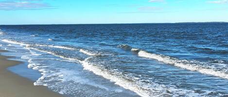 Apartment (1 Bedroom) | Innenbereich