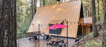 Deck & EV Charger: Pet-friendly Arnold Cabin!