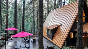 A cabin with a sloped roof surrounded by tall trees. - 3 Mi to Calaveras Big Trees: Cabin w/ Fire Pit! (Arnold)