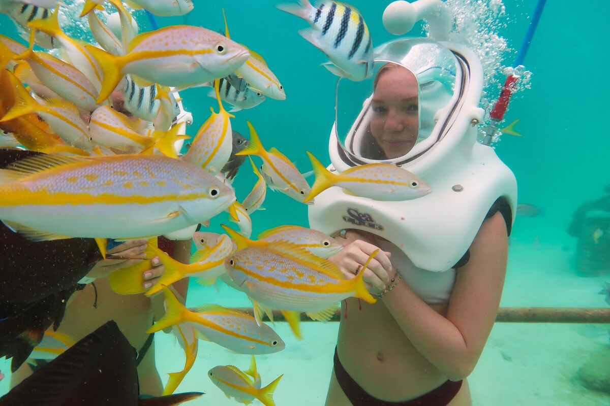 Una persona con casco de buceo rodeada de peces amarillos y blancos.