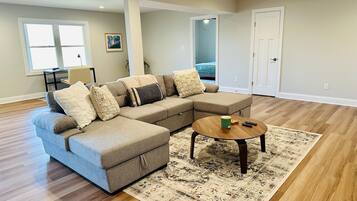 TV connectée, cheminée, lecteur de DVD, livres