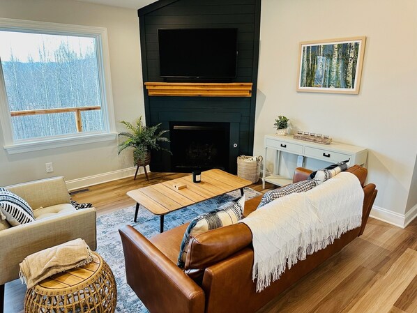 Smart TV, chimenea, reproductor de DVD y libros 