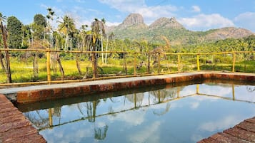 Alberca