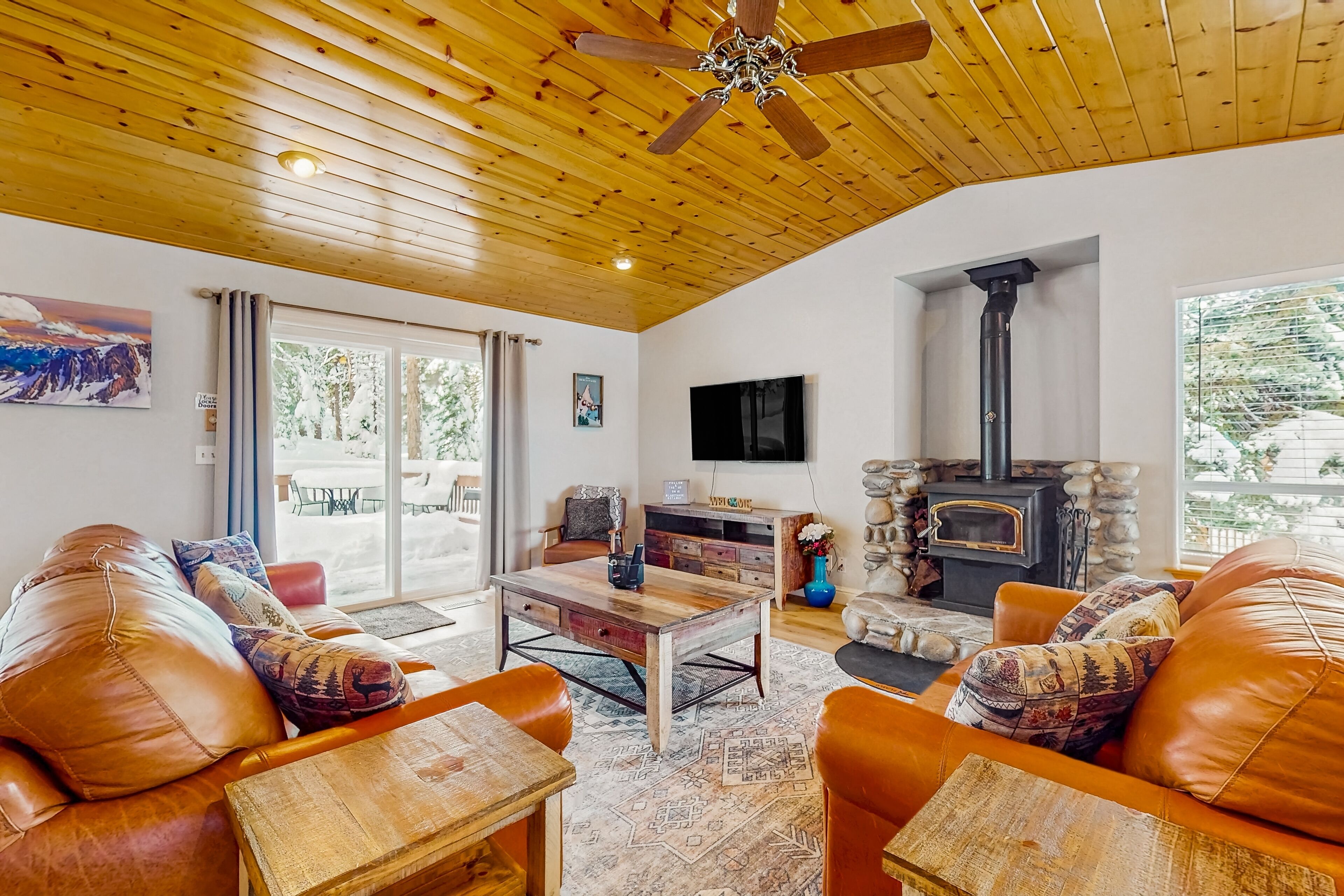 Télévision, cheminée, livres