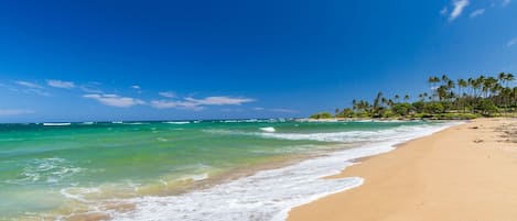Plage à proximité