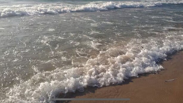 A beach with waves gently lapping onto the shore.