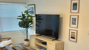 Älytelevisio, kirjoja