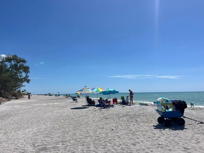 FLASH SALE - just steps to beach. 2BR/1BA.Dogs welcome! Perfect ratings.