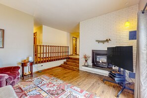 電視、DVD 播放機