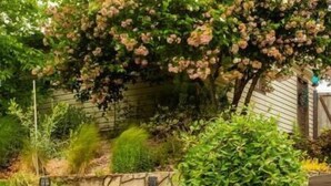 Un jardí amb una petita cascada, roques i diferents plantes.
