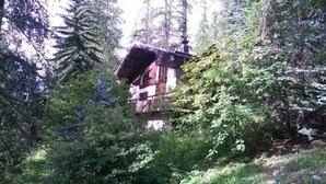 A rustic cabin nestled in a forest, surrounded by dense foliage. - Chalet, 200m from shops, view valley, terrace, fireplace or stove, tv, 100m², Les Orres (Les Orres)