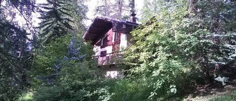 A rustic cabin nestled in a forest, surrounded by dense foliage.