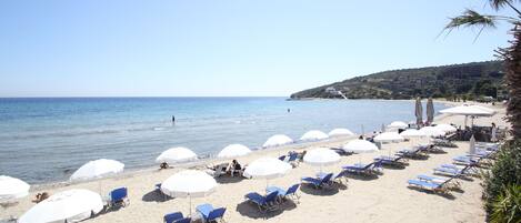 الإطلالة من المنشأة