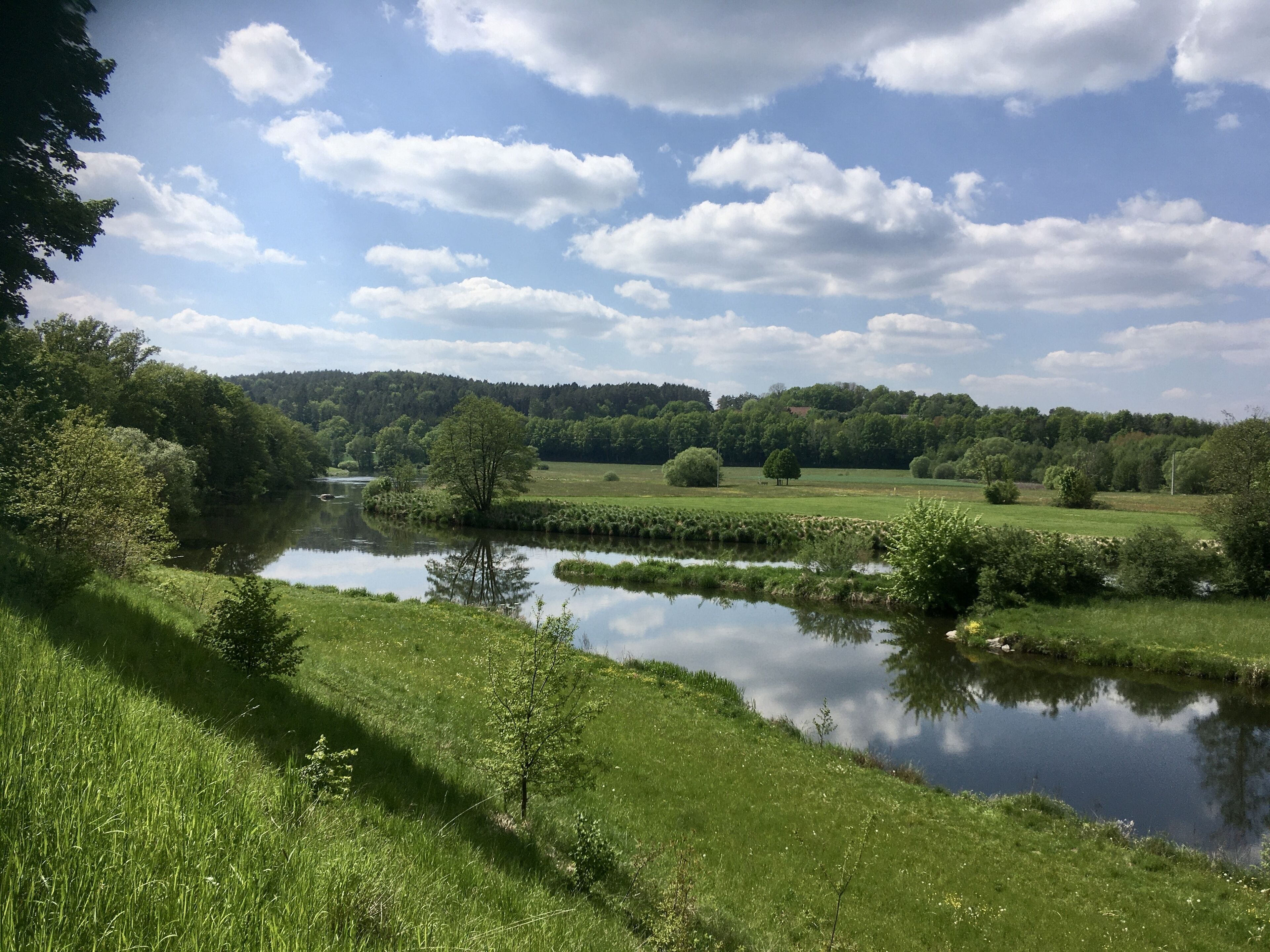 Un paisaje sereno con un río, abundante vegetación y cielo despejado.