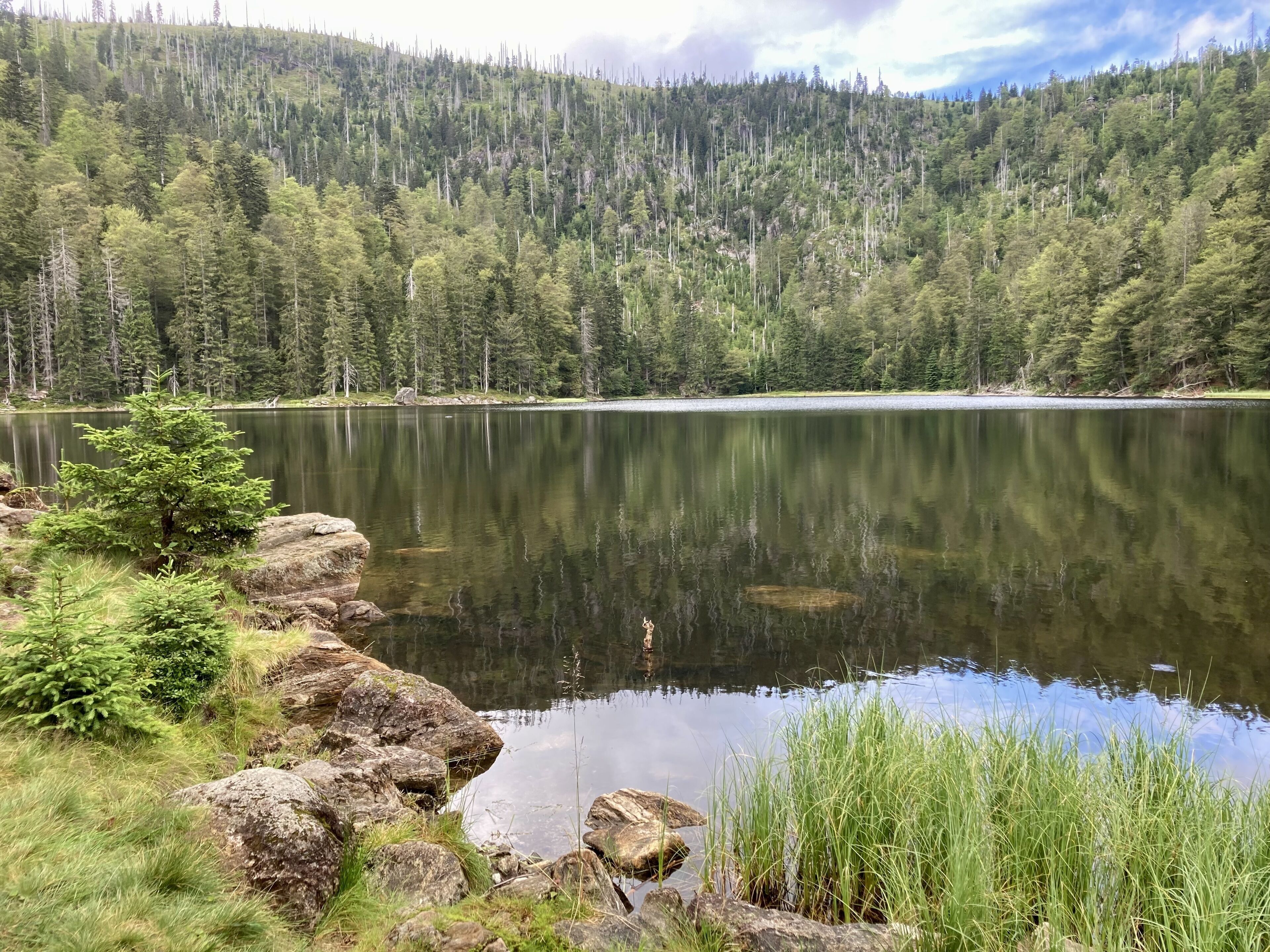 A serene lake surrounded by dense forest and rocky shores.