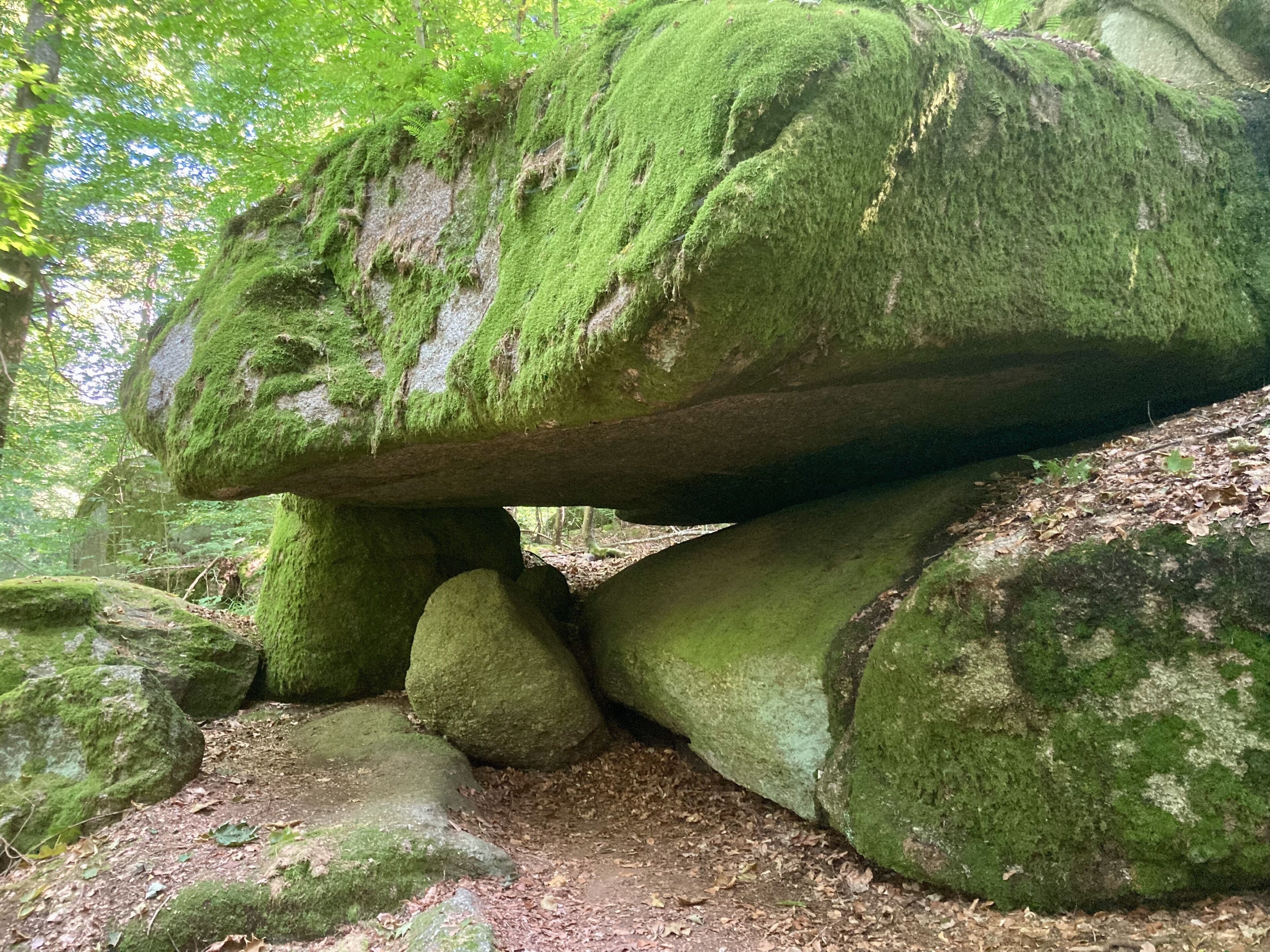 Una formació rocosa coberta de musc en un bosc.