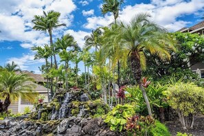 Un jardin tropical avec une cascade, des palmiers et diverses plantes.