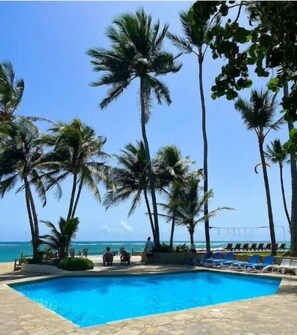 Relax by the oceanfront pool surrounded by palm trees and lounge chairs.
