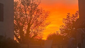 Ein Sonnenuntergang mit der Silhouette eines Baumes und Gebäuden.