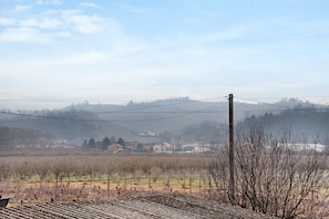Ländliche Landschaft mit freiem Blick auf einen Weinberg, einer Stromleitung und einer in der Ferne liegenden Stadt.