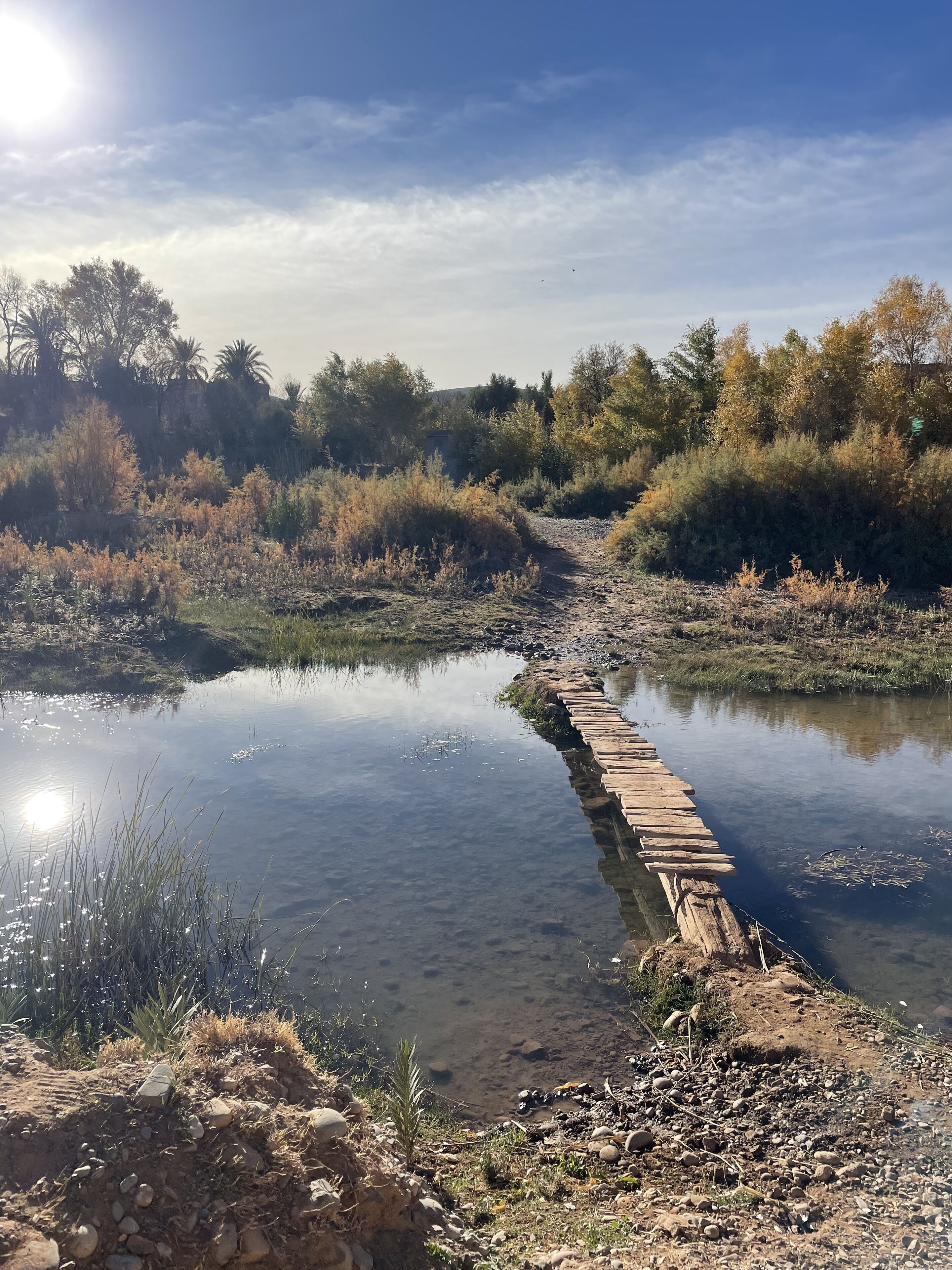 Ein ruhiger Fluss mit einer Holzbrücke, umgeben von natürlicher Vegetation und Bäumen.