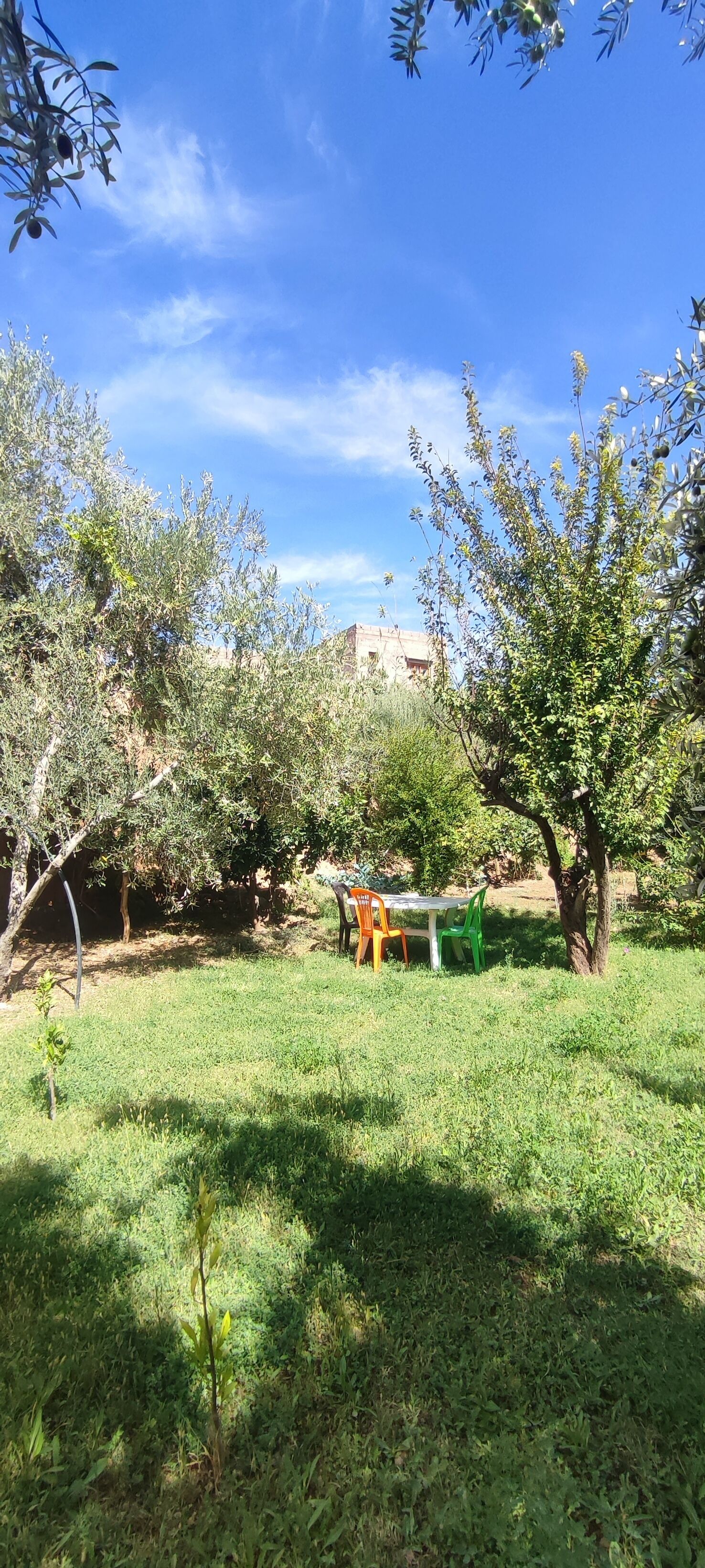 An outdoor area with a table and chairs, surrounded by trees and greenery.