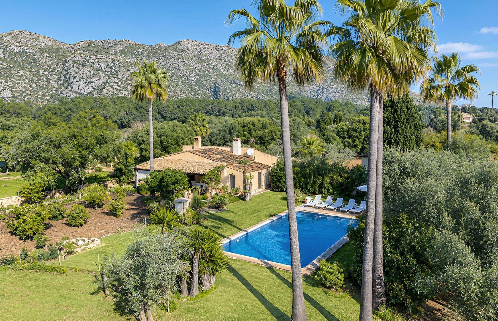 A villa with a swimming pool, surrounded by lush greenery and palm trees, with a mountain backdrop.